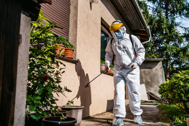 Best Pest Prevention Services  in Junction, TX