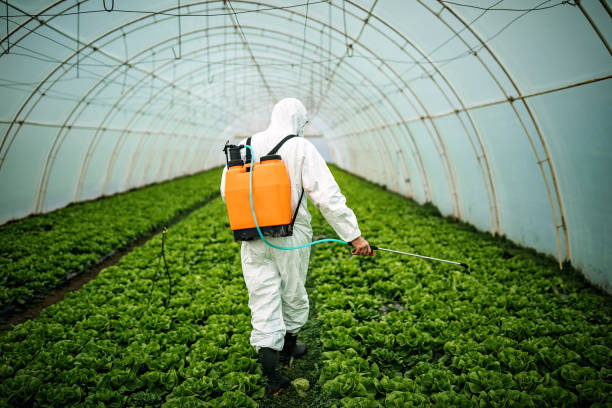 Best Pest Prevention Services  in Junction, TX
