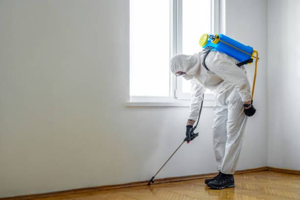 Best Mosquito Control Services  in Junction, TX