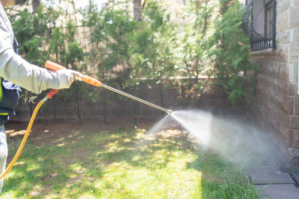 Best Pest Removal Services  in Junction, TX