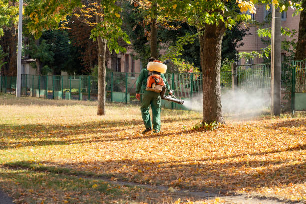 Best Termite Control Services  in Junction, TX