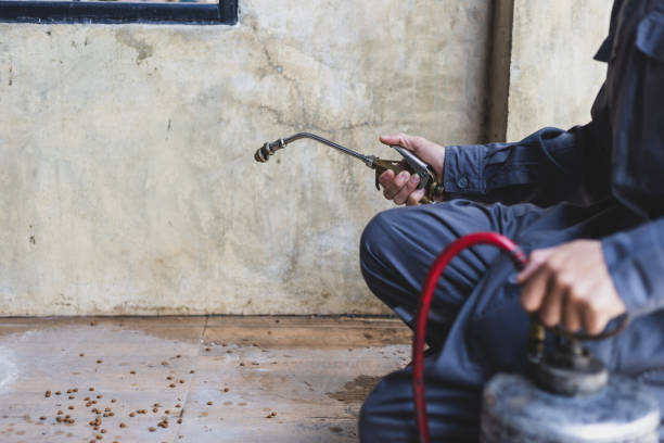 Best Best Pest Control Companies  in Junction, TX